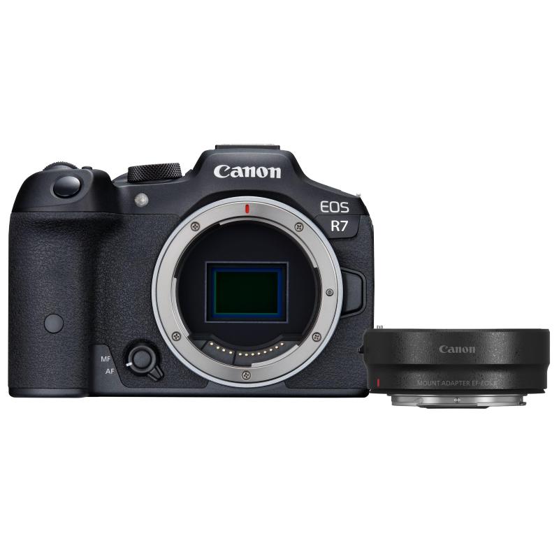 Fotocamera mirrorless canon eos r7 body solo corpo + ef- r adapter