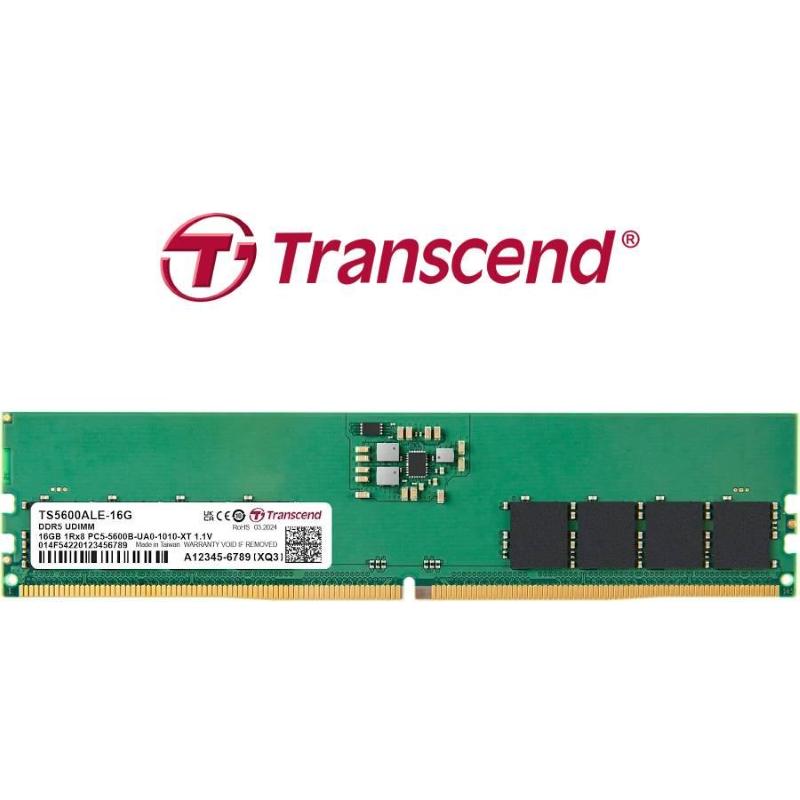Ddr5 16gb 5600 mhz dimm transcend