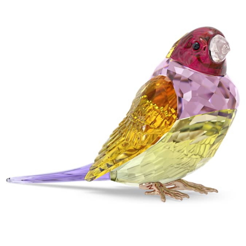Swarovski 5689265 swarovski fashion piece - idyllia scs gouldian finch, large nuovo in scatola originale