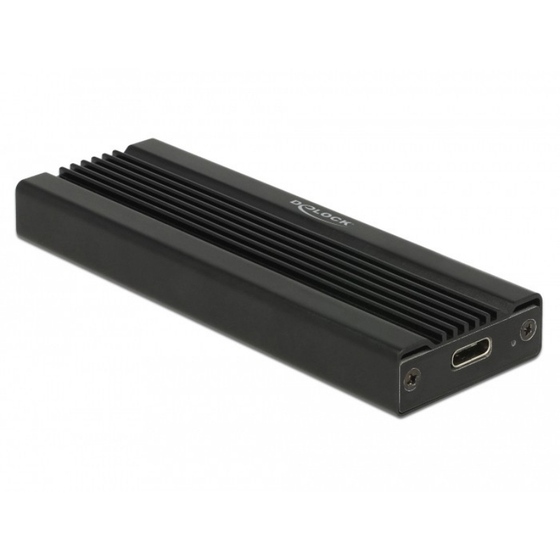 Delock 42600 scheda di interfaccia e adattatore usb 3.2 gen 1 (3.1 gen 1)