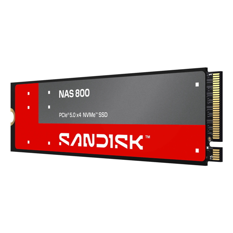 Sandisk nas 800 960gb nvme ssd