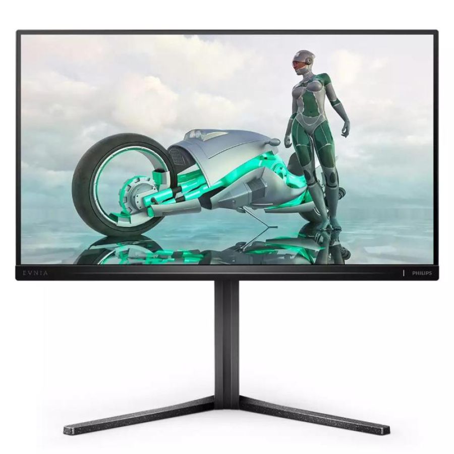 Monitor 24,5 300hz reg alt gaming