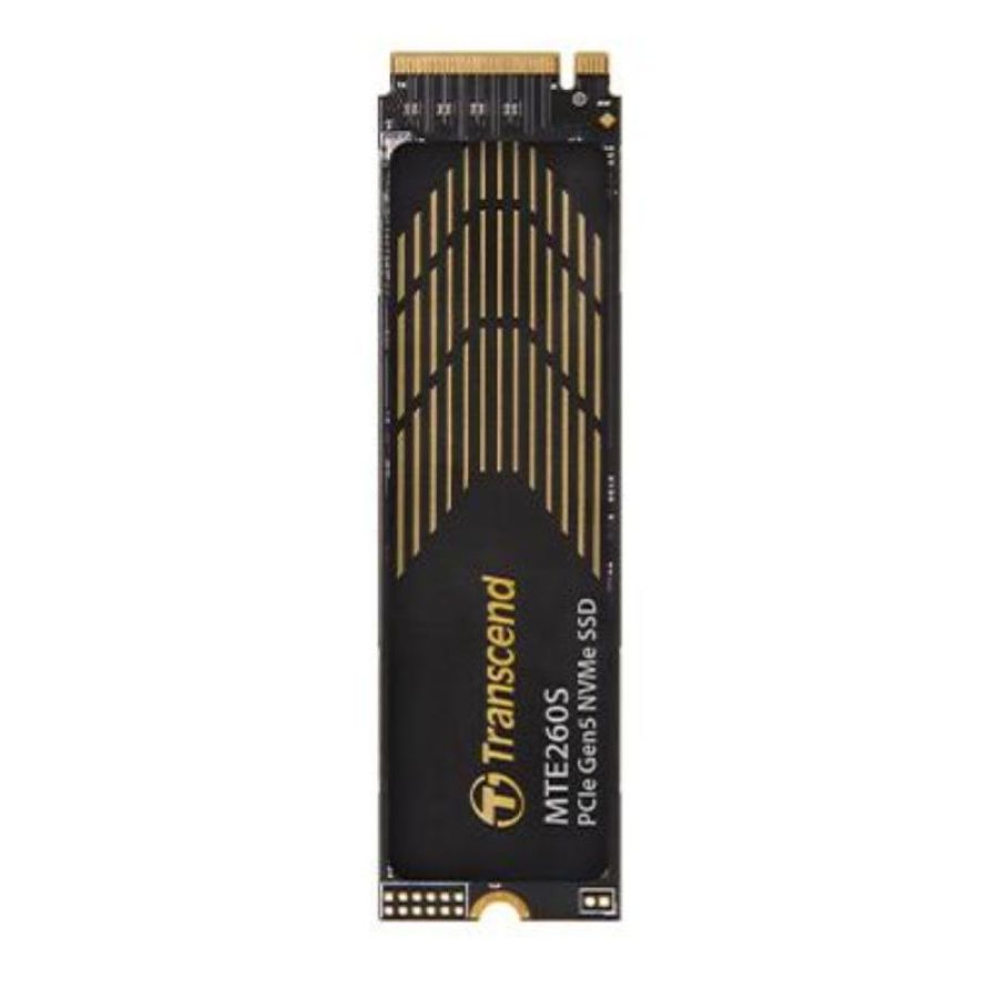 1tb m.2 2280 pcie gen5x4 nvme + hs